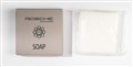 ROSCHE EARTH BOXED SOAP 20G