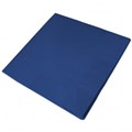 NAPKIN 2PLY LUNCH DARK BLUE