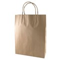 BAG BROWN PAPER TWIST HANDLE CARRY SMALL  350X260 90mm