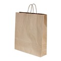 BAG BROWN PAPER TWIST HANDLE CARRY MEDIUM  480X34090mm