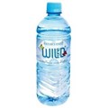 WILD ONE SPRING WATER 12 600ML