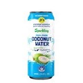 JTS SPARKLING PURE COCONUT 12X510ML
