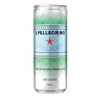 SAN PELLEGRINO SLIM CAN
